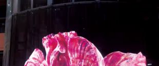 led屏為什么會流行起來？都有什么特點？